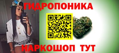 mix Сланцы