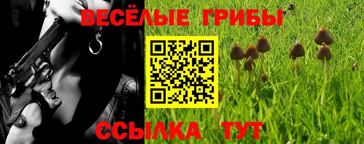 Псилоцибиновые грибы мицелий Острогожск