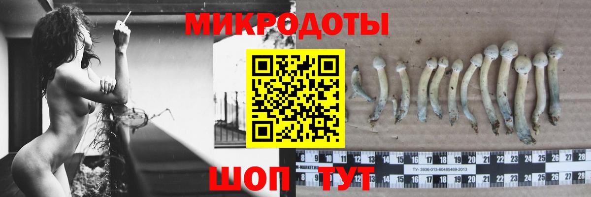 Галлюциногенные грибы Cubensis  Вход с VPN  Острогожск 